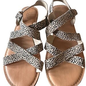 TOMS Women's Spotted Black and Tan Sandals